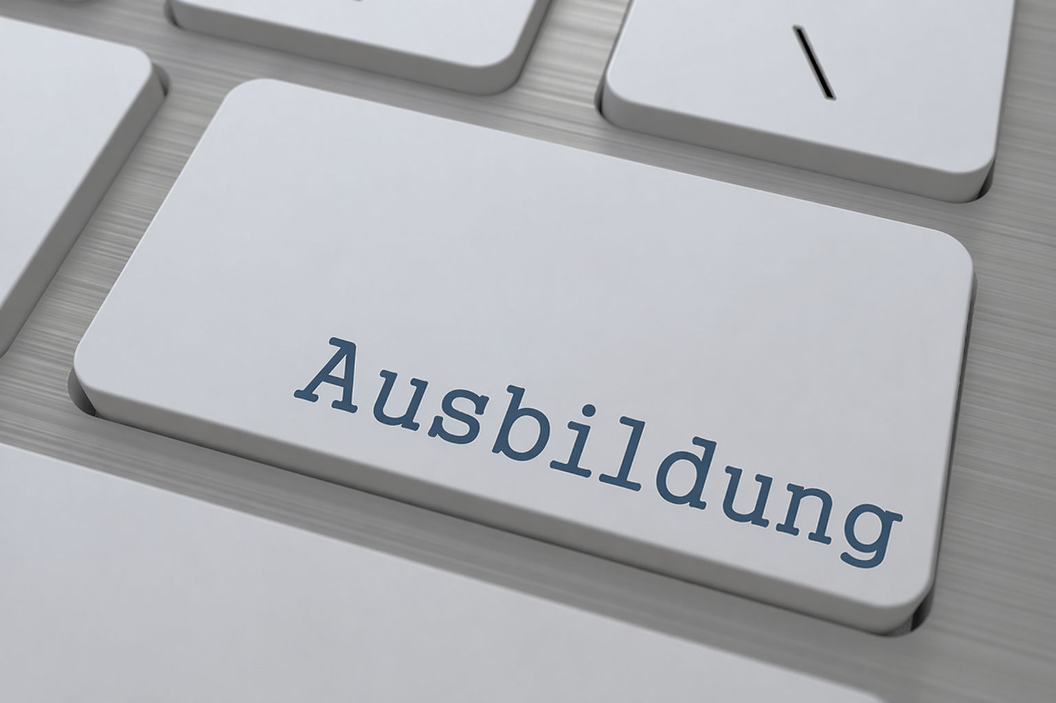 Empleado de ventas internas y atención al cliente (h/m/d)